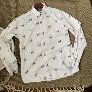 Men’s Medium Steel and Jelly Zebra Button Down